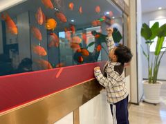 -牙博士口腔品牌连锁(杨浦店)