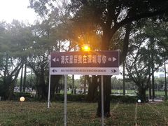 -海上田园