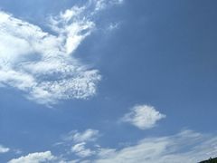 -羊亭河湿地公园