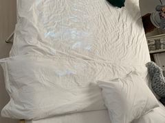 -安德鲁户外烧烤帐篷营地(马泉营店)