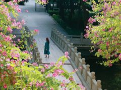 -广州近代史博物馆