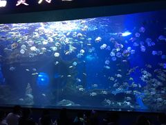 -多彩贵州城极地海洋世界