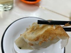 -福园东北菜饺子铁锅炖