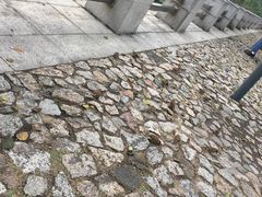 -龙环葡韵住宅式博物馆