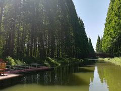 -黄海国家森林公园