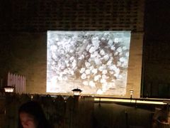 -Catail前苑(前门大街店)