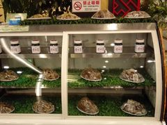 -太婆天府山珍酒楼(亚运村店)