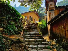 -杨家堂村