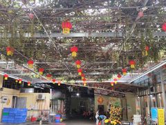 -区海鸡场饭店(石壁店)