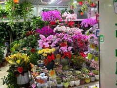 -三旗百汇商品城