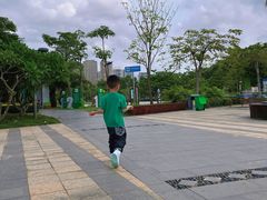 -金鸡岭桥头公园