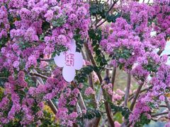 -杭州城北体育公园