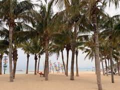 -玫瑰海岸文化旅游度假区