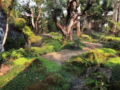 -Chom Cafe and Restaurant