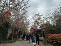 -回龙窝历史文化街区