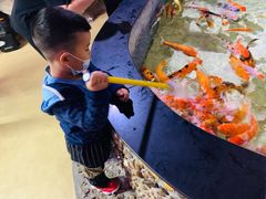 -烟台海昌鲸鲨海洋公园