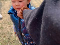 -遇见世外桃源教育农场