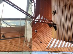 -悉尼歌剧院