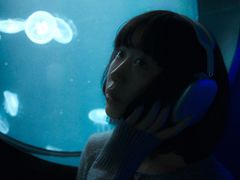 -厦门海底世界