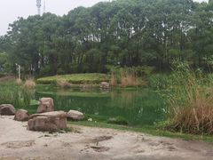 -美兰湖景区