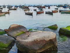 -海源公园