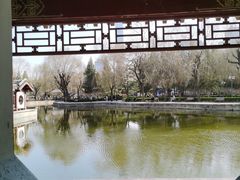 -团结湖公园