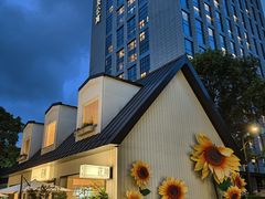 -大梅沙海滨公园