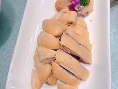 白切广东清远鸡-申宴酒楼(王子百货店)