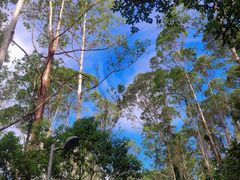 -水濂山森林公园