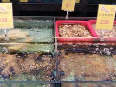 -新金盛·海鲜酒楼(盐田店)