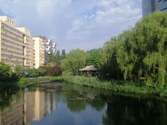 -南长河公园