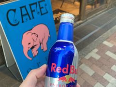 -筑地玉寿司(銀座コア店)