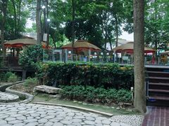 -二荆条·蜀鲜汇城市森林火锅