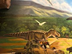 -安徽省地质博物馆