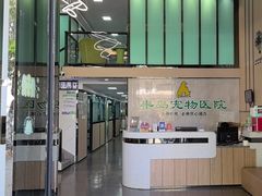 -半岛宠物医院24小时(科华中路店)