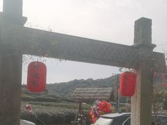 -听风阁农家私房菜茶楼(龙坞店)