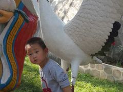 -八大处公园