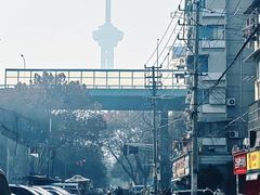 -庆梅水饺