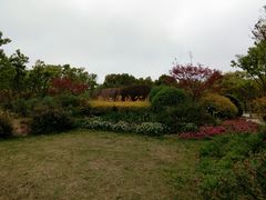 -新江湾城公园