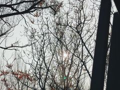 -沈阳鸟岛