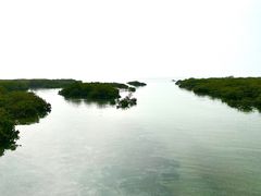 -北海金海湾红树林生态旅游区