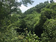 -新江湾城公园