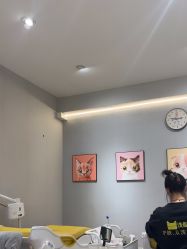 -洗脸猫·洗脸吧