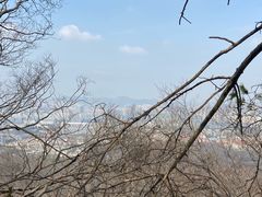 -紫金山山顶公园