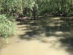 -大亚湾红树林城市湿地公园