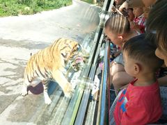 -西安秦岭野生动物园