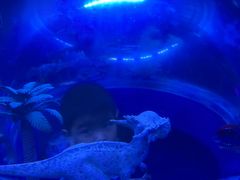 -梦幻海洋王国(吾悦广场张家港店)