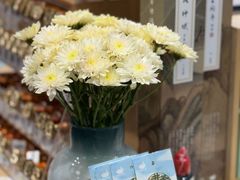 -猫的天空之城概念书店(杭州南宋御街店)