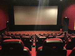 -AMG海上明珠影城(上海环球港RealDCinema店)
