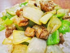 咖喱牛肉盖饭-启子大馅饺子